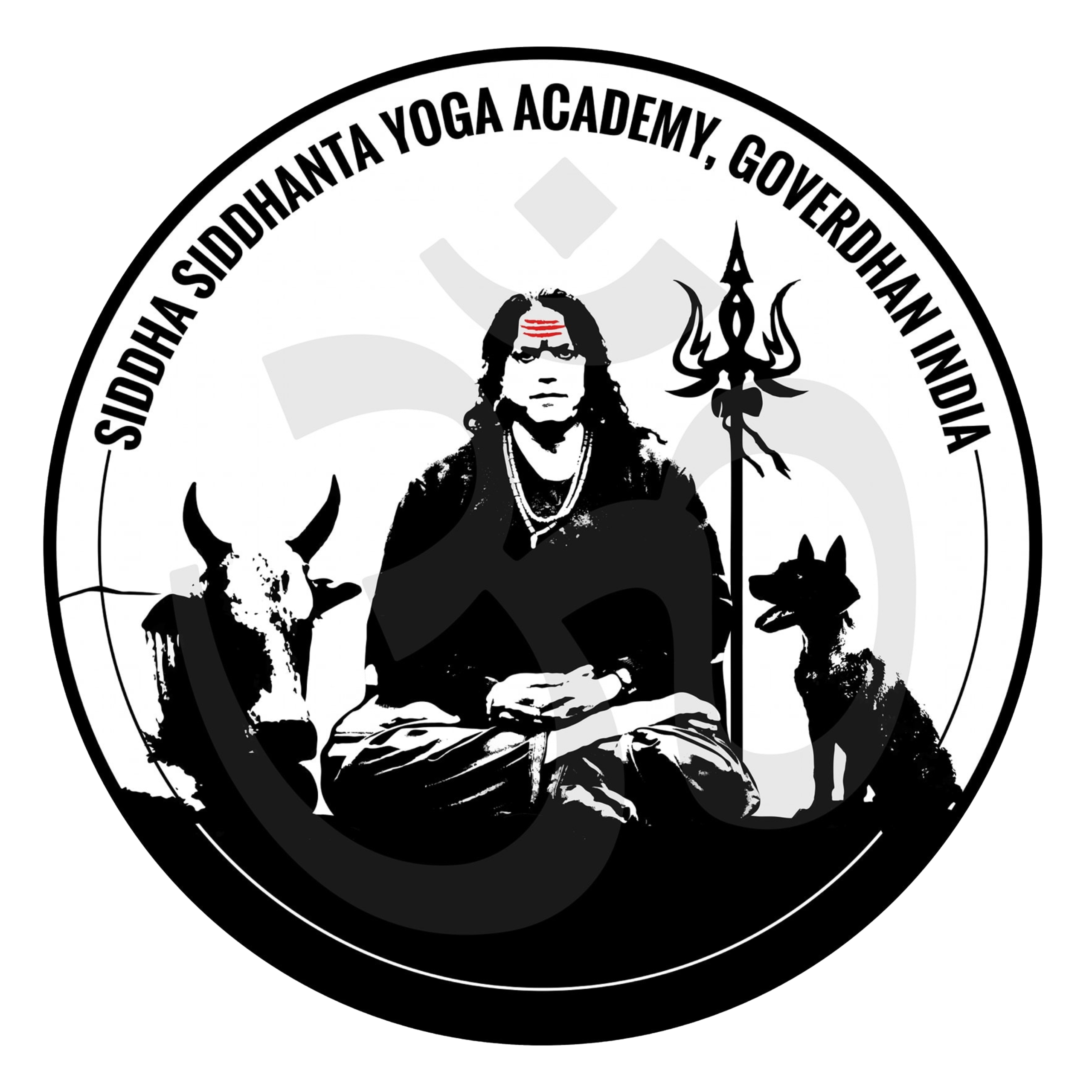 Shree Shailendra Sharma Book's