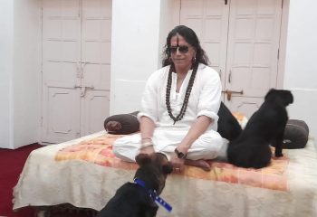 FB_IMG_1743101070499